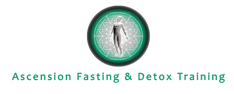Raw Vegan Chef Training Bali – Seeds of Life – Raw Food Classes Ubud