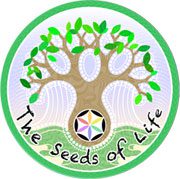 Raw Vegan Chef Training Bali – Seeds of Life – Raw Food Classes Ubud