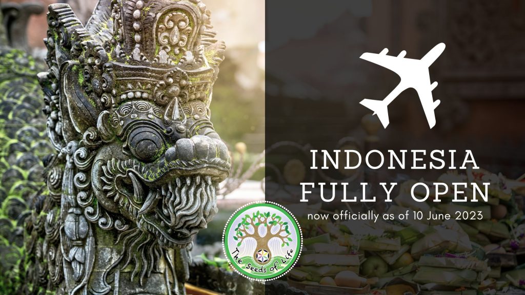 Raw Vegan Chef Training Bali – Seeds of Life – Raw Food Classes Ubud