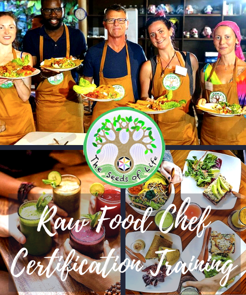 18 December 2026 - 1 January 2027 | Raw Food Chef Certification